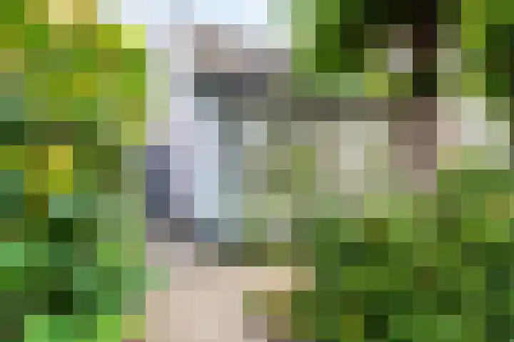 Acacialaan 29 Doorn thumbnail 54