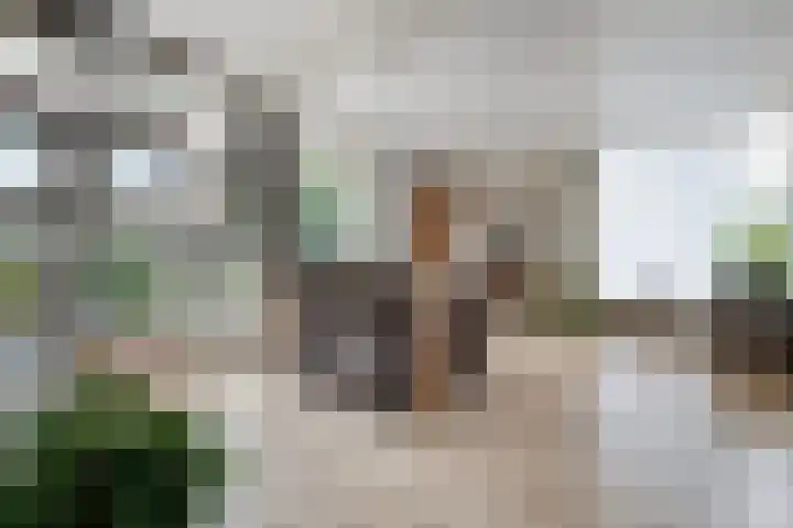 Acacialaan 3 Balkbrug thumbnail 10