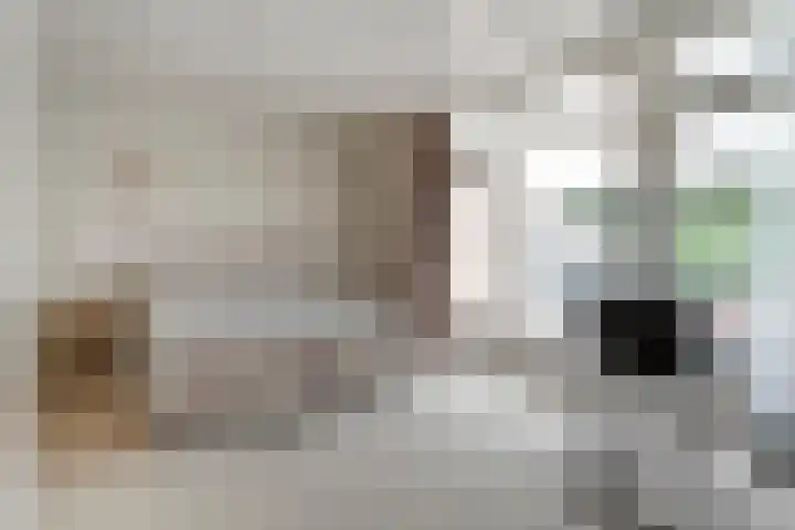 Acacialaan 3 Balkbrug thumbnail 16