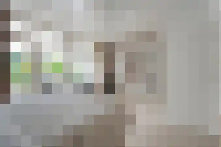 Acacialaan 3 Balkbrug thumbnail 17