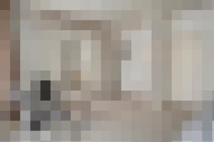 Acacialaan 3 Balkbrug thumbnail 18
