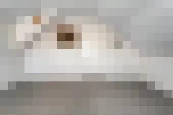 Acacialaan 3 Balkbrug thumbnail 25