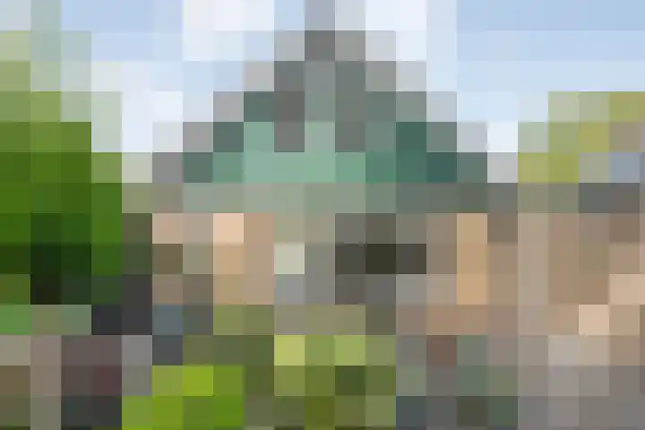 Acacialaan 3 Balkbrug thumbnail 32
