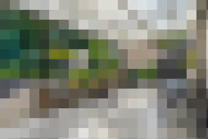 Acacialaan 3 Balkbrug thumbnail 33