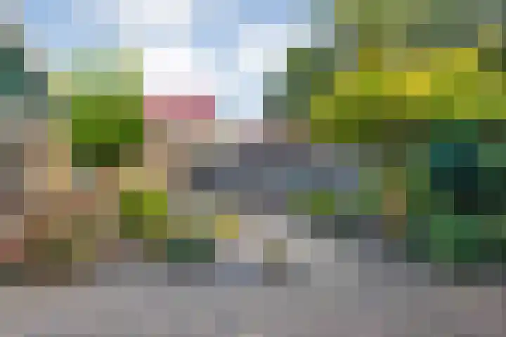 Acacialaan 3 Balkbrug thumbnail 35