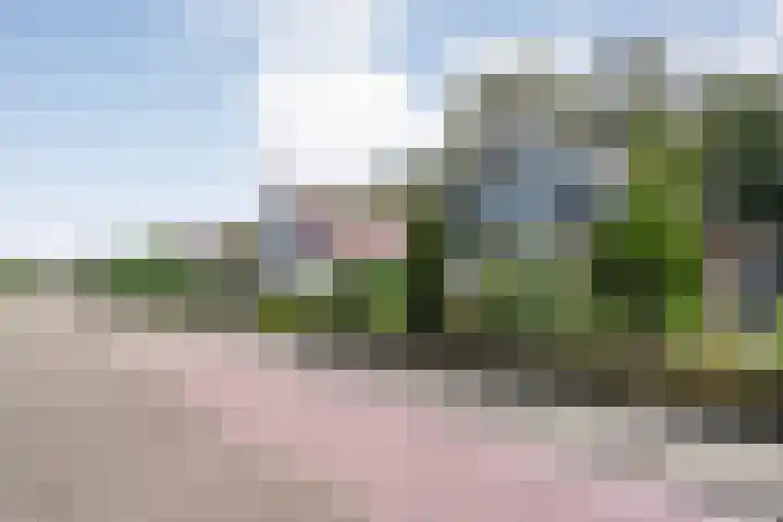 Acacialaan 3 Balkbrug thumbnail 37