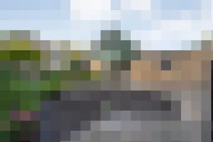 Acacialaan 3 Balkbrug thumbnail 4