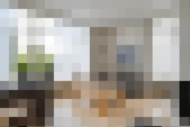 Acacialaan 3 Balkbrug thumbnail 7