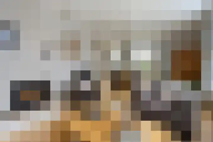 Acacialaan 3 Balkbrug thumbnail 8
