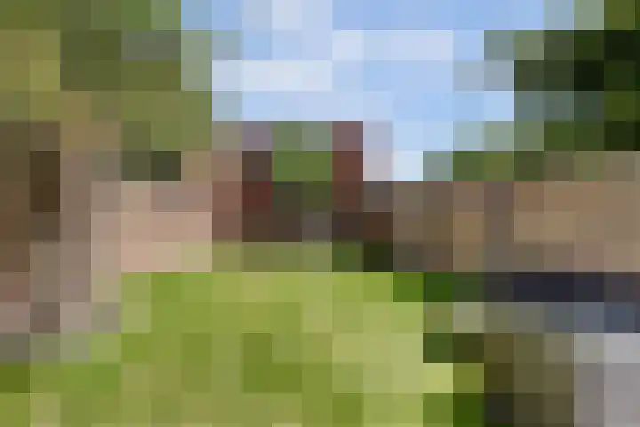 Acacialaan 3 Bergen op Zoom thumbnail 28