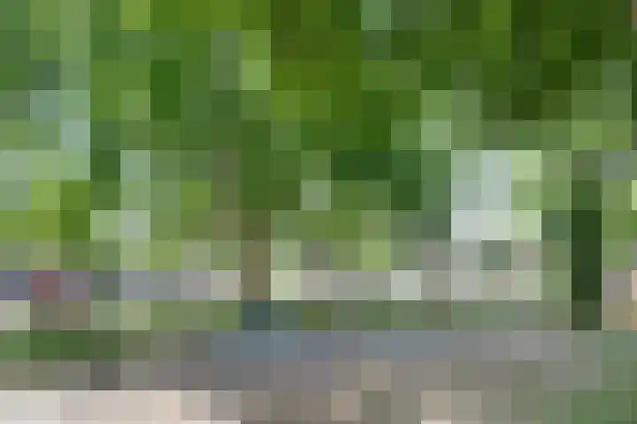 Acacialaan 3 Bergen op Zoom thumbnail 32