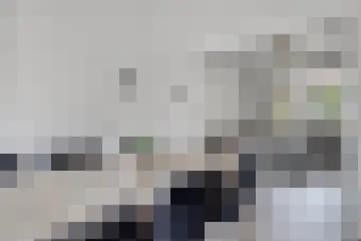 Acacialaan 3 Bergen op Zoom thumbnail 9