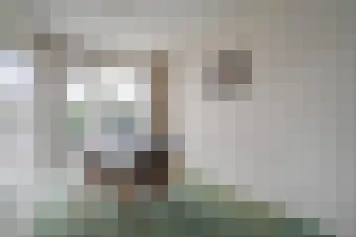 Acacialaan 3 Rijswijk thumbnail 11