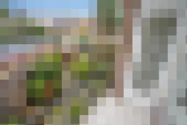 Acacialaan 3 Rijswijk thumbnail 21