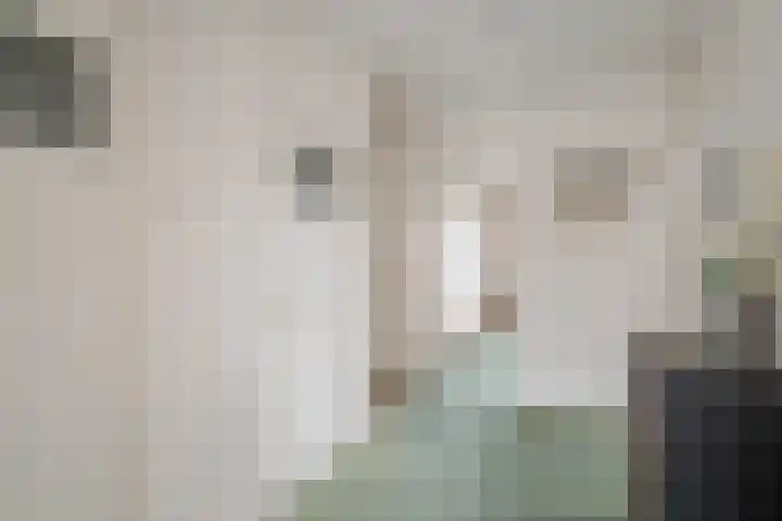 Acacialaan 3 Rijswijk thumbnail 6