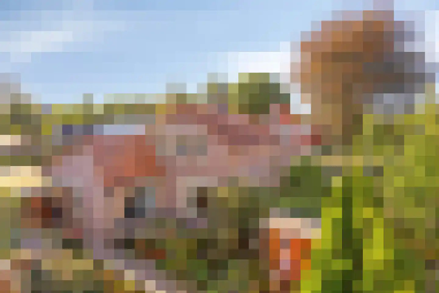 Acacialaan 30 Heerde thumbnail 45