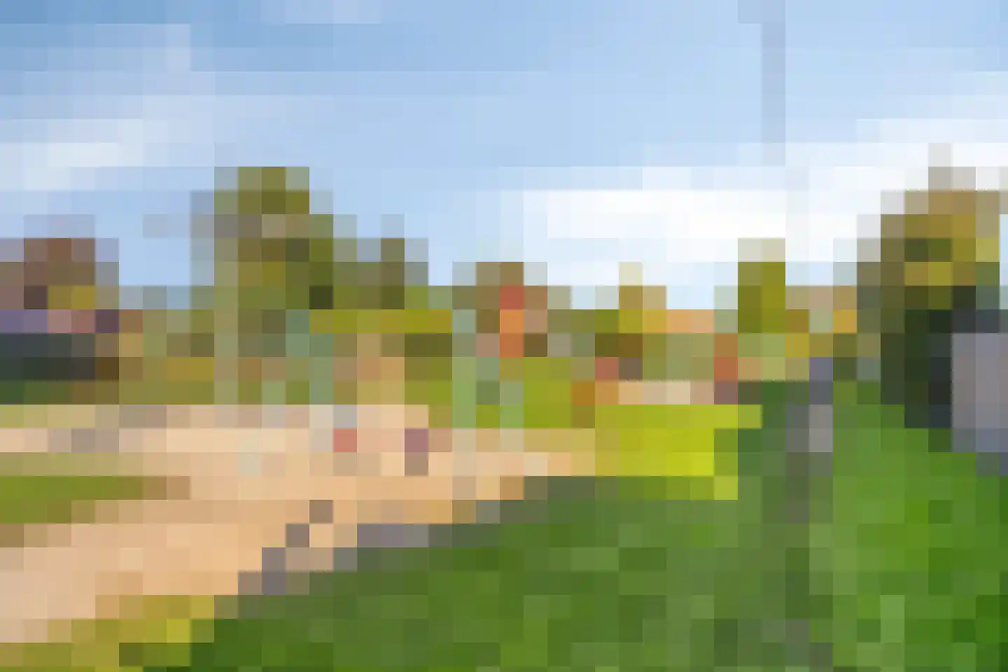 Acacialaan 30 Heerde thumbnail 47
