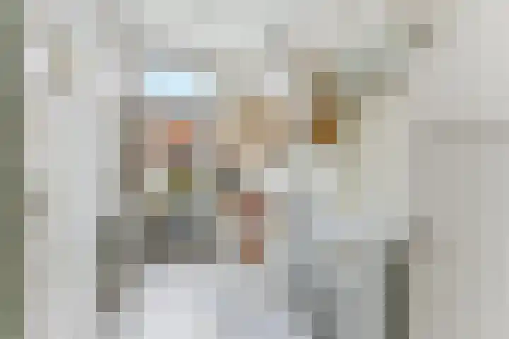 Acacialaan 31 Rotterdam thumbnail 13