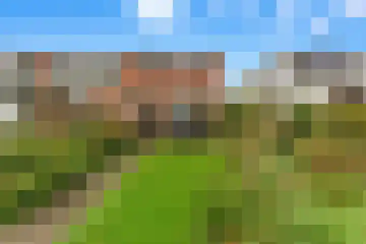 Acacialaan 31 Rotterdam thumbnail 23