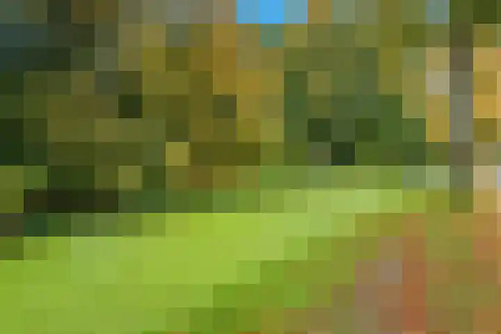 Acacialaan 31 Rotterdam thumbnail 27
