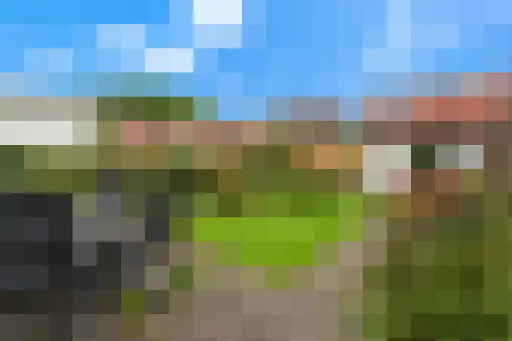Acacialaan 31 Rotterdam thumbnail 6
