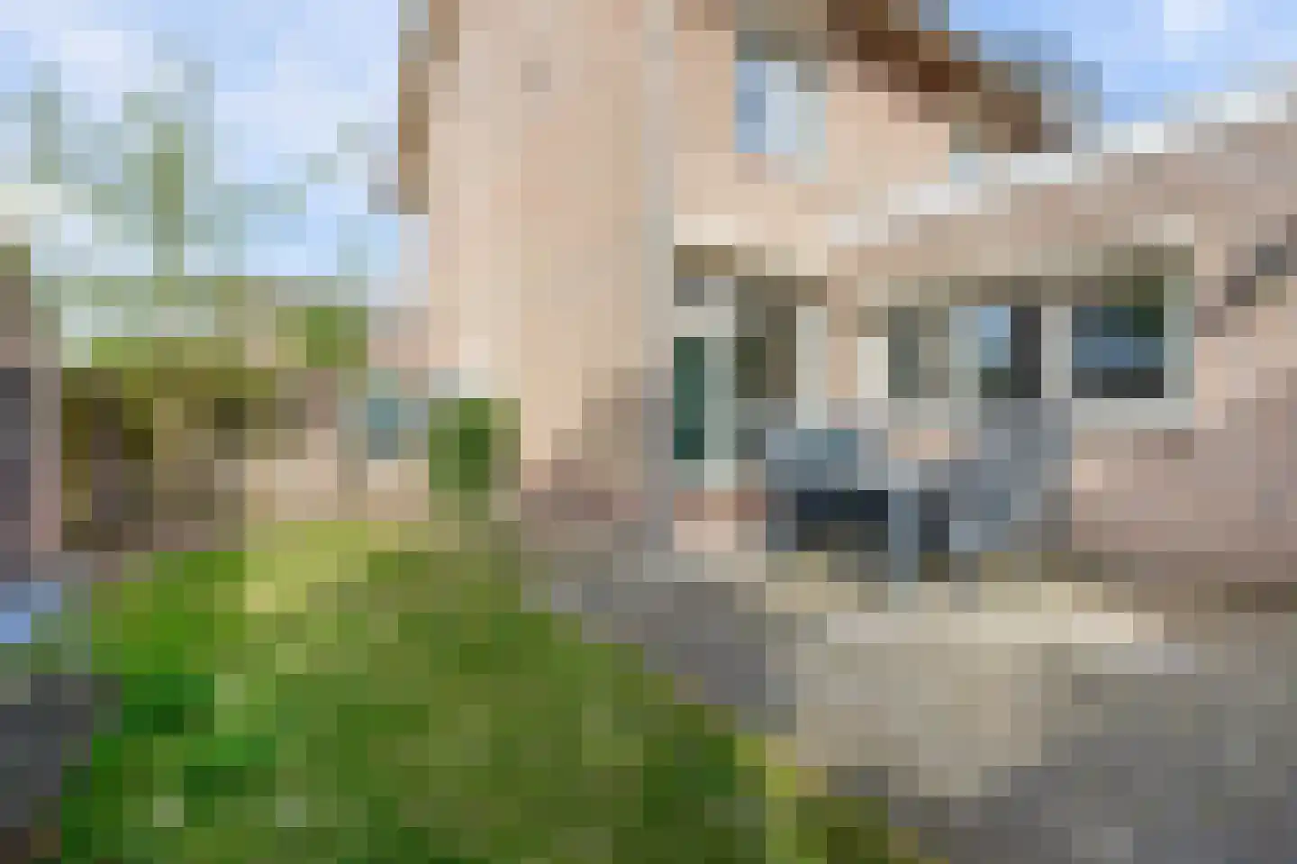 Acacialaan 31 Veghel thumbnail 21
