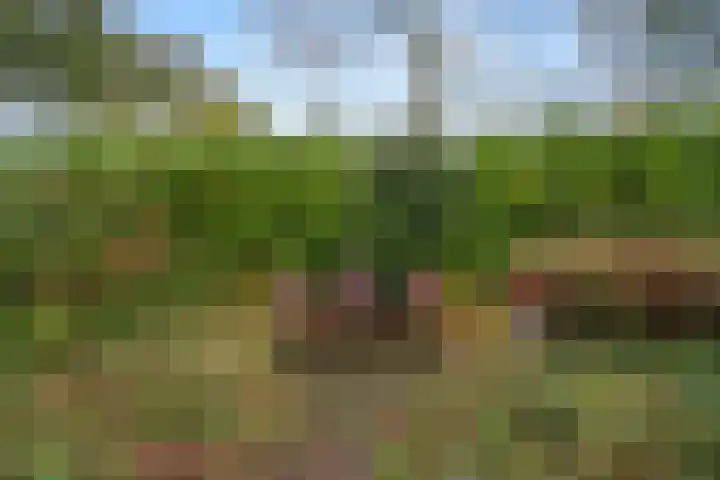 Acacialaan 32 Bennekom thumbnail 36