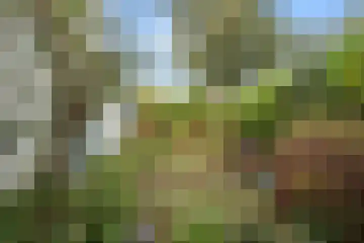 Acacialaan 32 Bennekom thumbnail 37