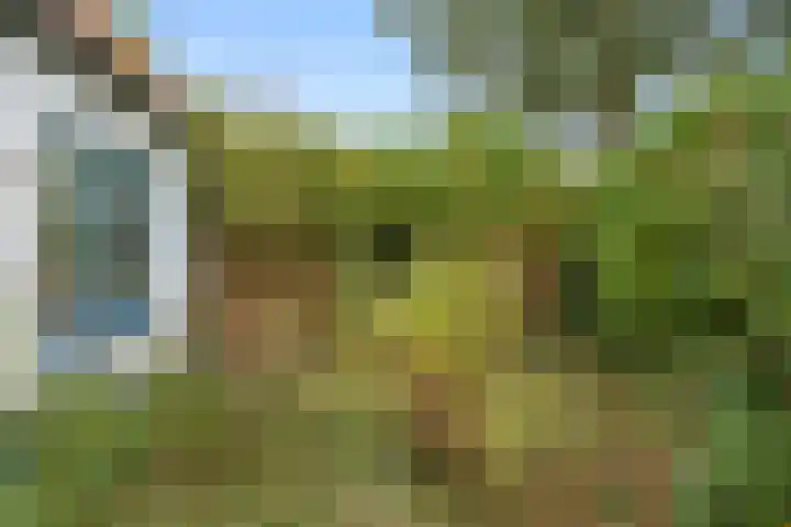 Acacialaan 32 Bennekom thumbnail 38