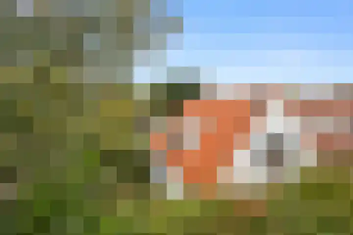 Acacialaan 32 Bennekom thumbnail 50