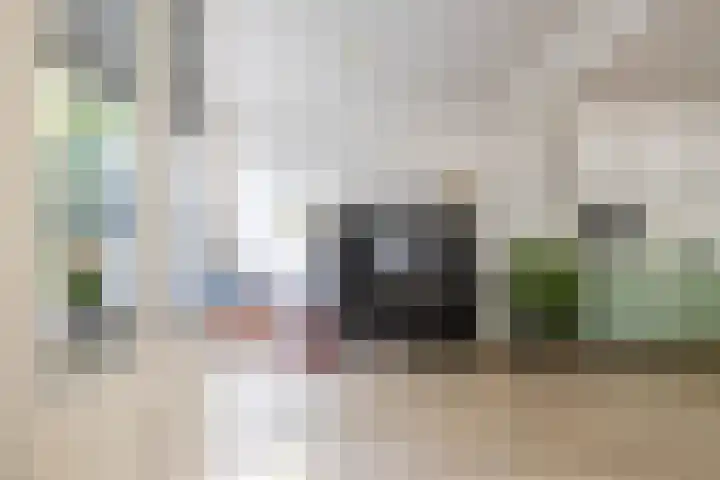 Acacialaan 32 Groningen thumbnail 12