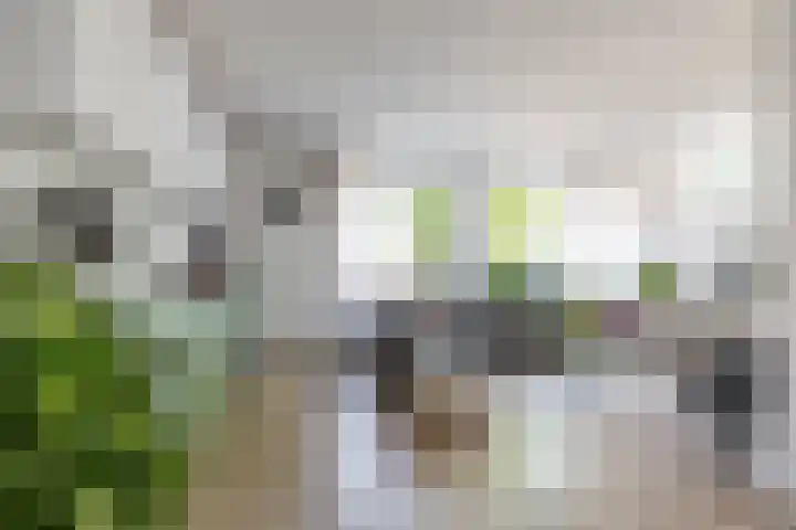 Acacialaan 32 Groningen thumbnail 15