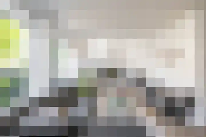 Acacialaan 32 Groningen thumbnail 17
