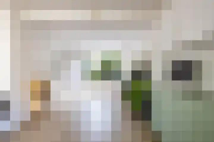 Acacialaan 32 Groningen thumbnail 20