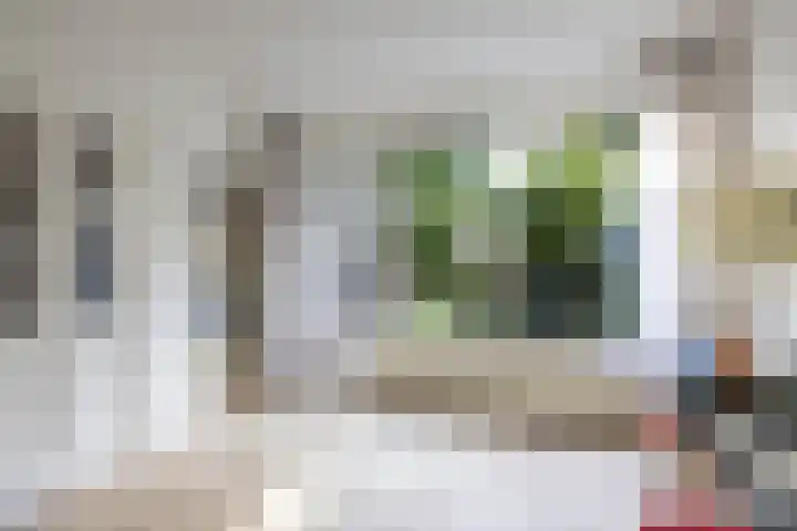 Acacialaan 32 Groningen thumbnail 22