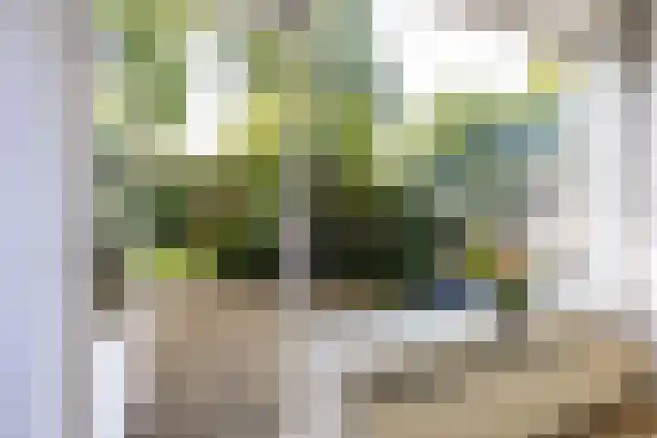 Acacialaan 32 Groningen thumbnail 23