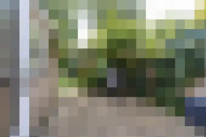 Acacialaan 32 Groningen thumbnail 24