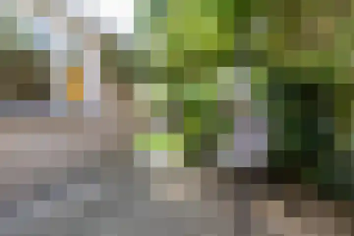 Acacialaan 32 Groningen thumbnail 25