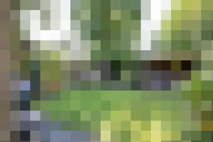 Acacialaan 32 Groningen thumbnail 26