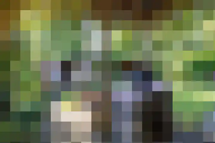 Acacialaan 32 Groningen thumbnail 27