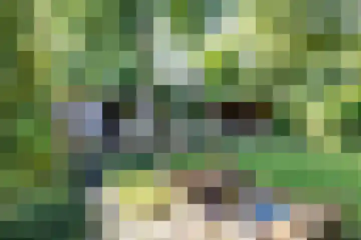 Acacialaan 32 Groningen thumbnail 28
