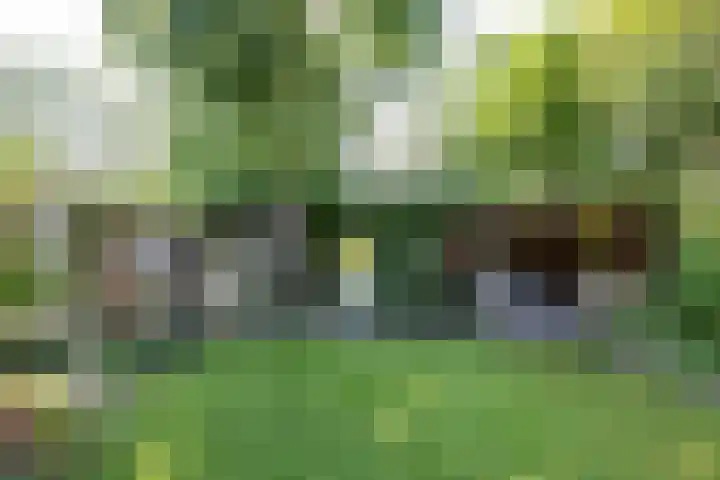Acacialaan 32 Groningen thumbnail 29