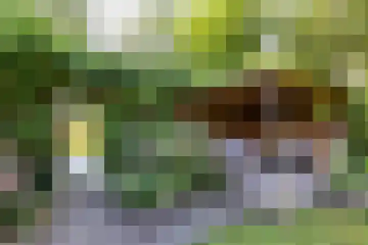 Acacialaan 32 Groningen thumbnail 30