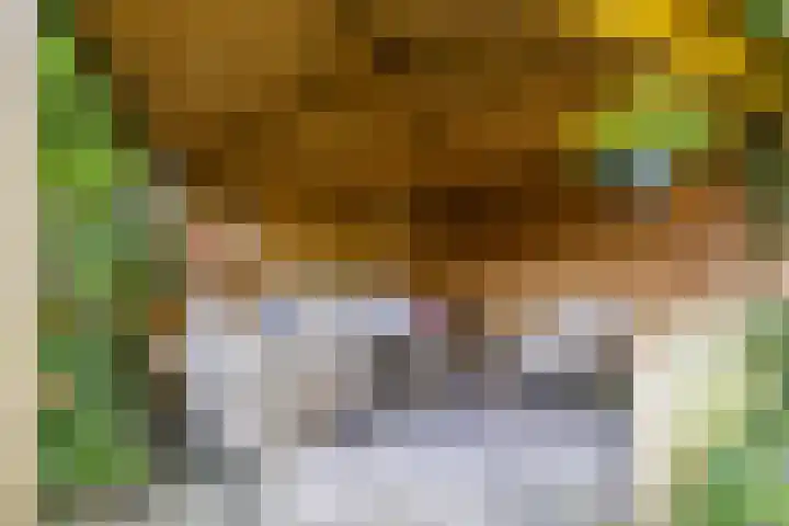 Acacialaan 32 Groningen thumbnail 31