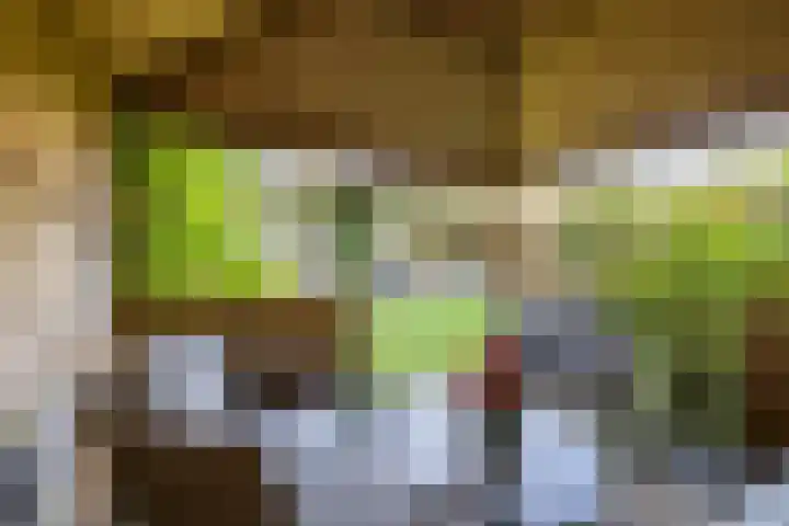 Acacialaan 32 Groningen thumbnail 32
