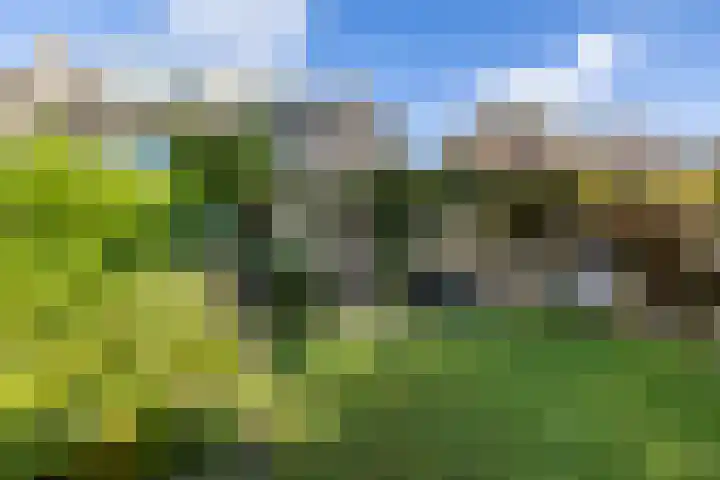 Acacialaan 32 Groningen thumbnail 33