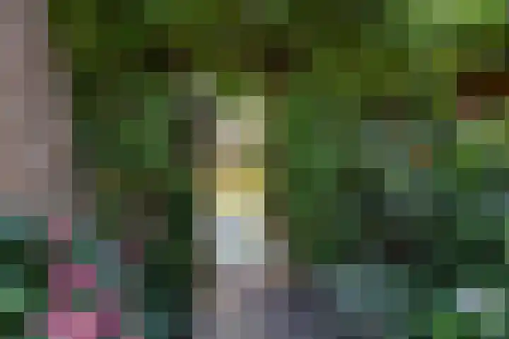 Acacialaan 32 Groningen thumbnail 34