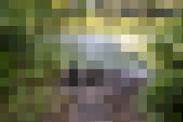 Acacialaan 32 Groningen thumbnail 35