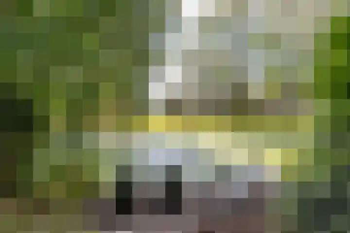 Acacialaan 32 Groningen thumbnail 36