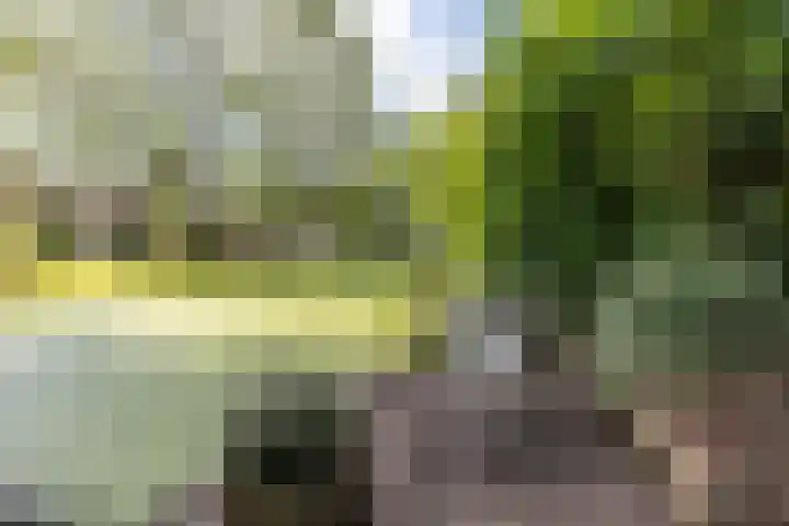 Acacialaan 32 Groningen thumbnail 37